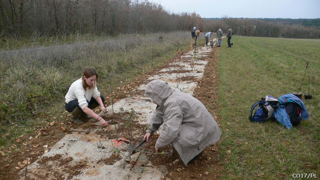 chantier école plantation de haie sur l'espace naturel sensible de l'Asinerie du Baudet du Poitou